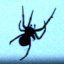 Immagine profilo di donna-ragno